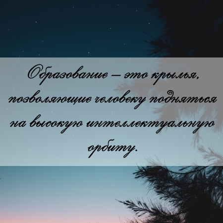 цитата об образовании и контрольной